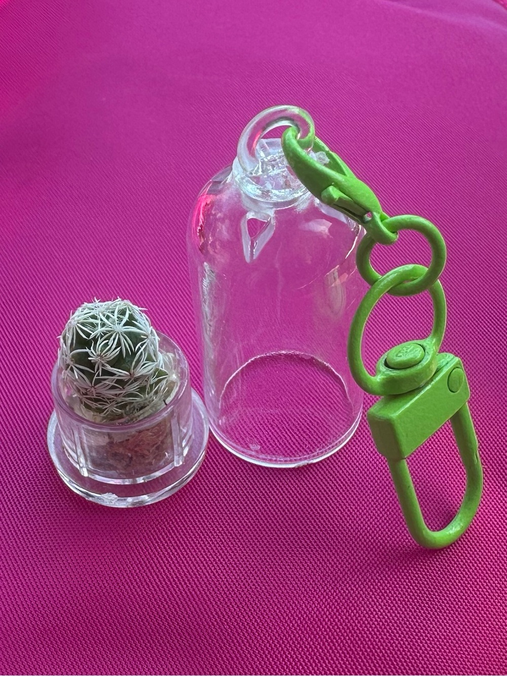Real plant mini cactus bag charm